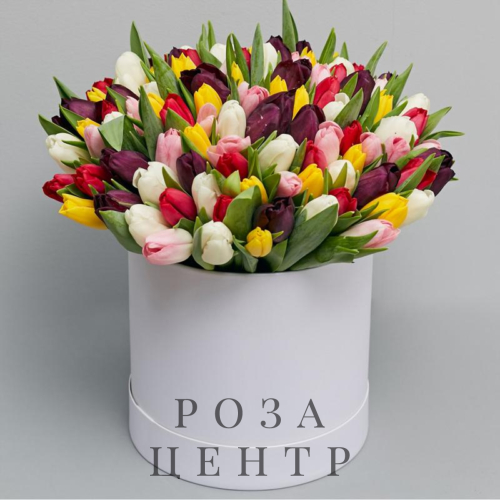 101 тюльпан в коробке