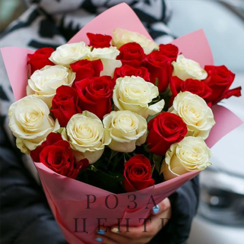 25 красных и белых роз Эквадор в упаковке 25 красных и белых роз Эквадор в упаковке