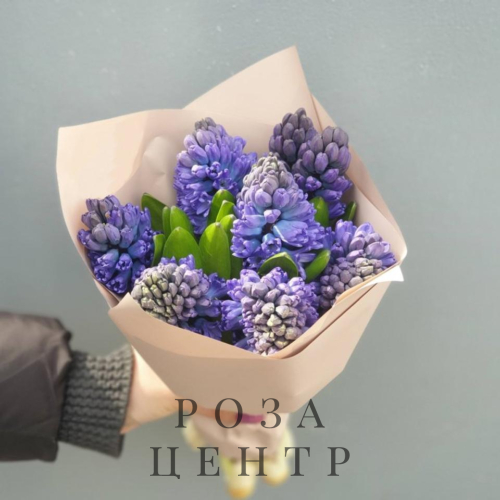 9 гиацинтов в матовой упаковке