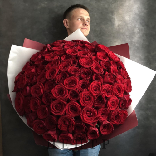 Букет из 101 розы Букет из 101 розы