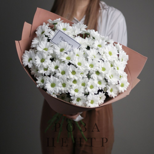 15 ромашковых хризантем