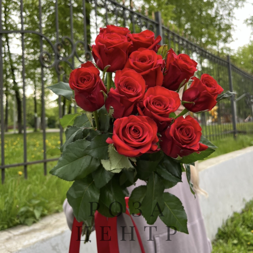Роза Россия красная 50 см Роза Россия красная 50 см