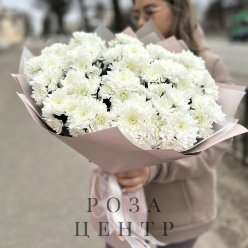 Хризантема кустовая Россия