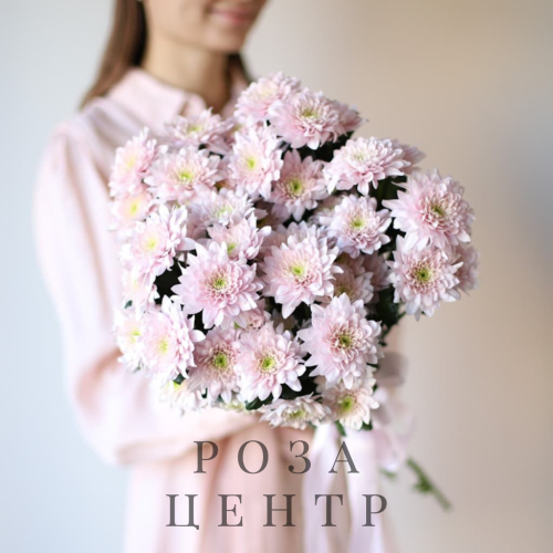 Хризантемы нежные в ленту (5 шт) №1622 Хризантемы нежные в ленту (5 шт) №1622