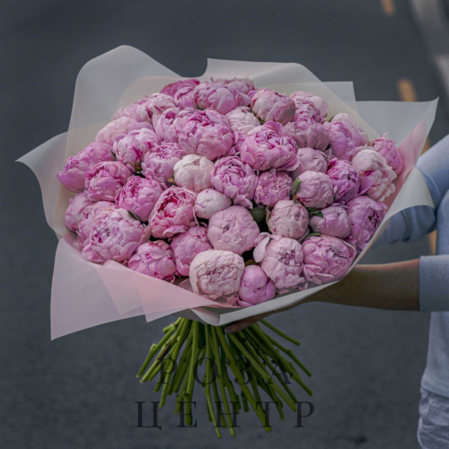 Букет из 51 пиона