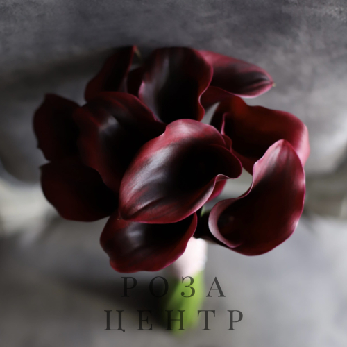 Букет с винными каллами
