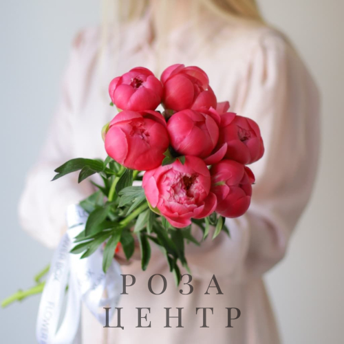 Пионы в ленту (7 шт) №1649