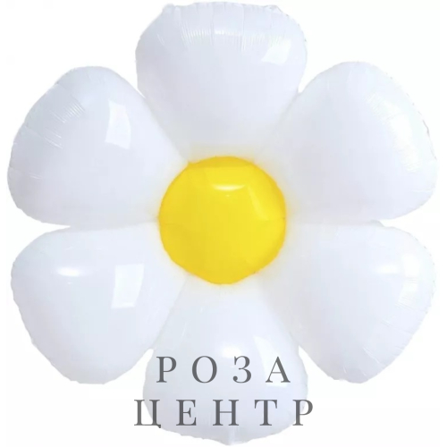 Шар Цветок, Ромашка Шар Цветок, Ромашка