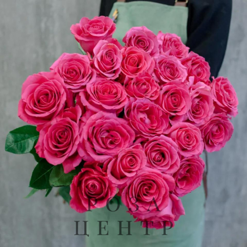 Малиновые розы Эквадор