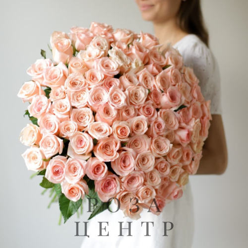 Розы розовые в ленту ( 101 шт) №1730 Розы розовые в ленту ( 101 шт) №1730